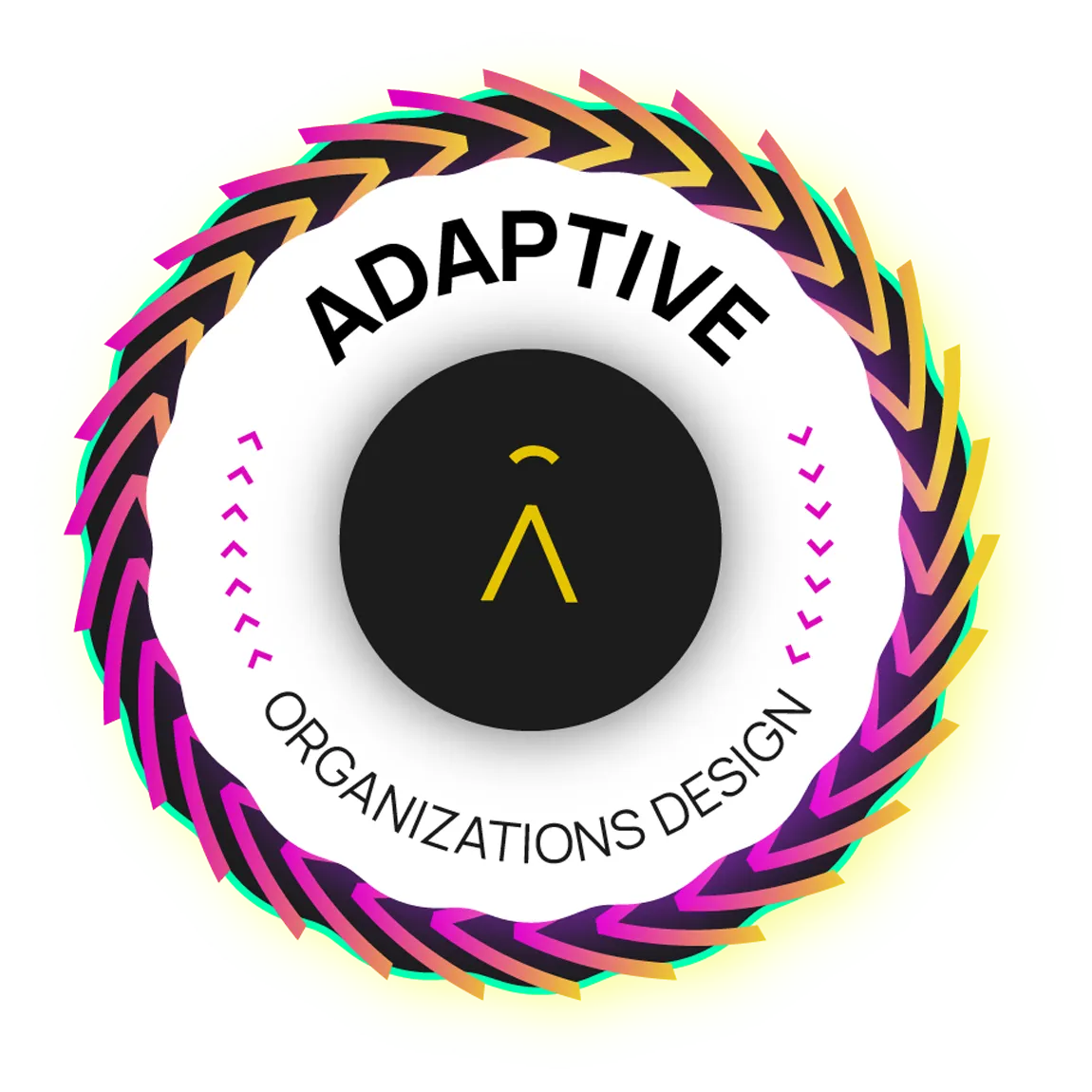 Adaptive Organizations Design
