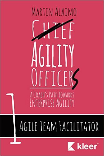 Agile Team Facilitator